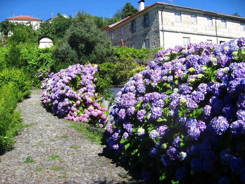Casa De Carcavelos Cabeceiras de Basto ภายนอก รูปภาพ